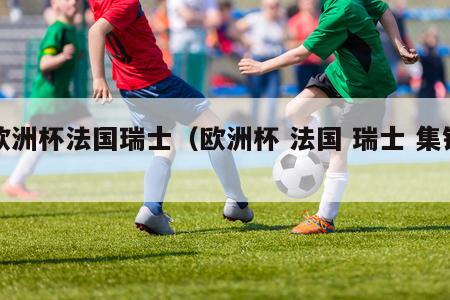 欧洲杯法国瑞士（欧洲杯 法国 瑞士 集锦）