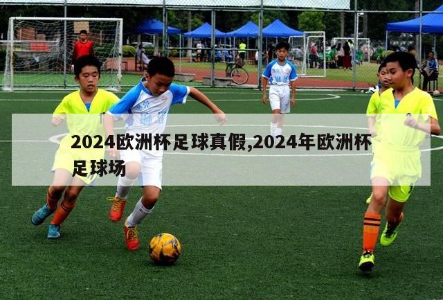 2024欧洲杯足球真假,2024年欧洲杯足球场